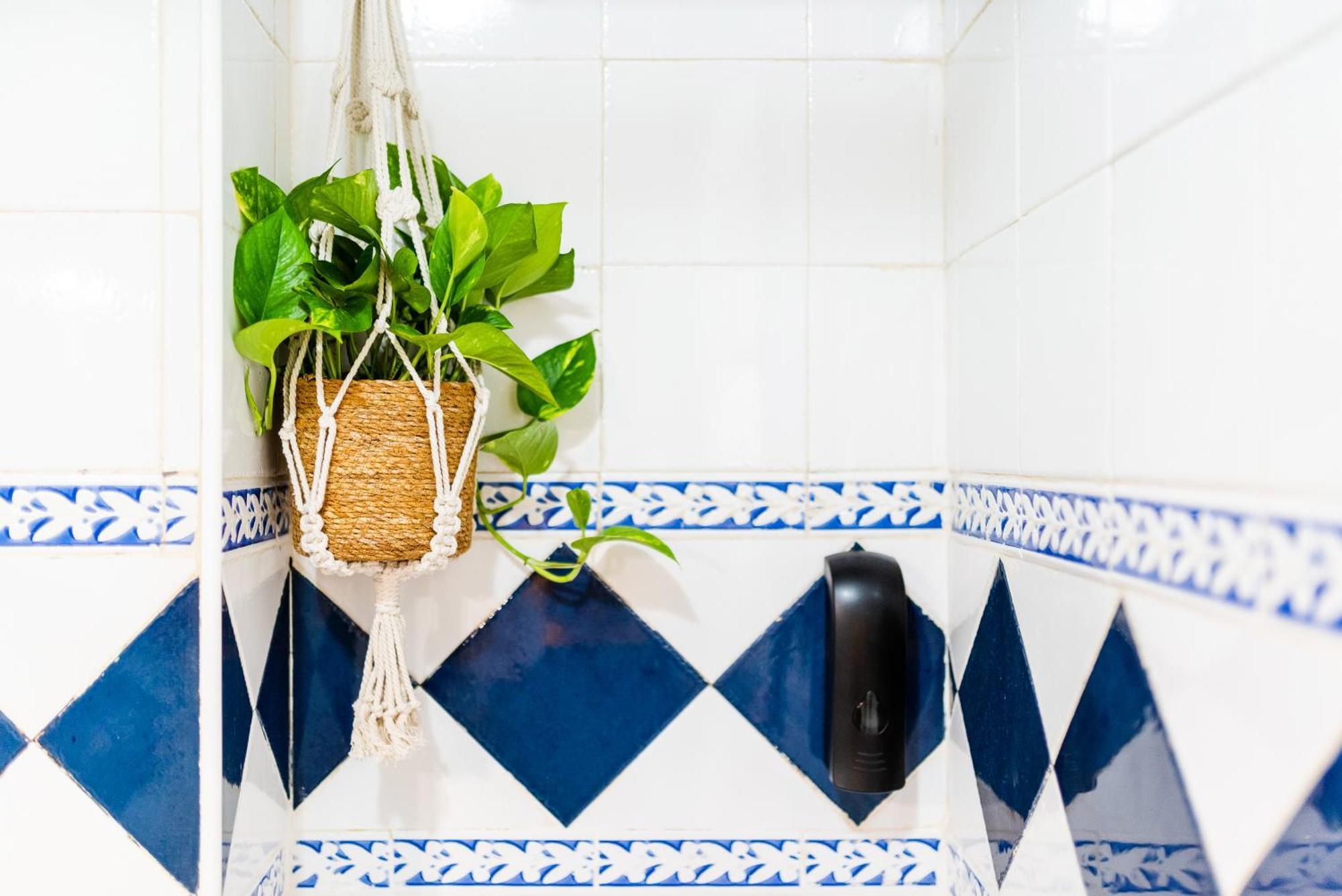 Apartamento Las Mil Y Una Noches Granada Exteriör bild